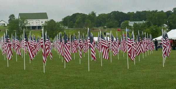 Healing Field